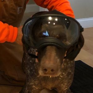 Meet your Posher, Andrew